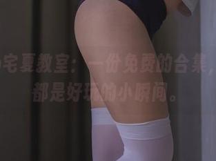 Yoko宅夏教室：一份免费的合集，满满都是好玩的小瞬间。