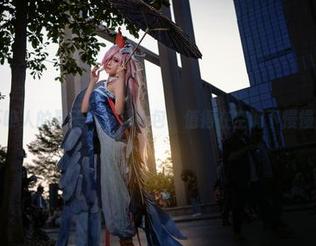 奶狮不咬人的夏天：高清图包，值得在空调下慢慢品味！